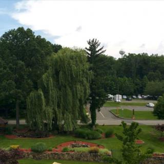 A scenic view of a tree-lined road in a park setting.