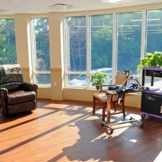 A bright and inviting corner of a room featuring comfortable seating, natural light, and greenery.