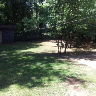 A sunny backyard with lush trees and green grass.