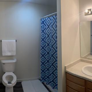 A bathroom with a toilet, blue-patterned shower curtain, and sink vanity.