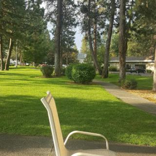 A peaceful park setting with a green lawn and tall trees, perfect for relaxation.