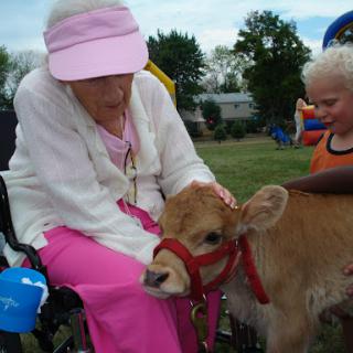 A heartwarming moment as an elderly woman and a young child interact with a gentle calf in an outdoor setting.