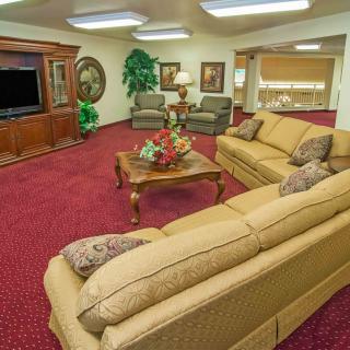 A spacious living room with comfortable sofas and a large television, accented by a red carpet and decorative indoor plants.