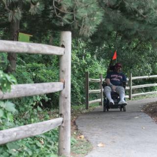 A person in a motorized wheelchair traveling along a wooded path.