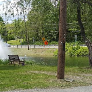 A bench sits by a flooded area in a park with a road and greenery in the background.