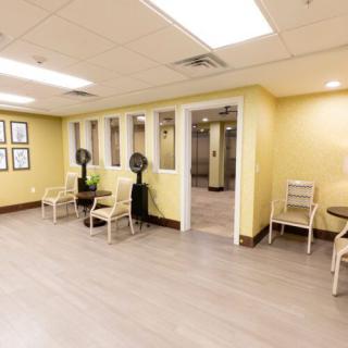 A bright and clean waiting area with chairs and decorative elements.