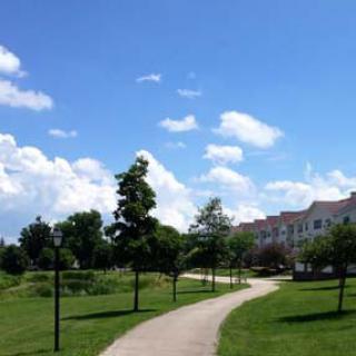 A scenic view of a pathway winding through a park, with trees lining the path and a building in the background under a bright blue sky.