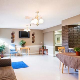 A cozy living room with modern decor, featuring a television, comfortable seating, and lush plants.