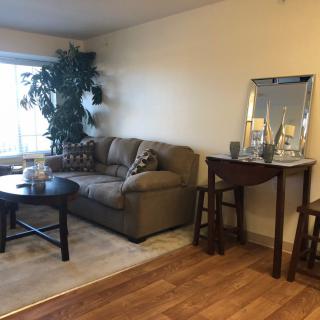A cozy living room with a sofa, coffee table, and decorative elements.