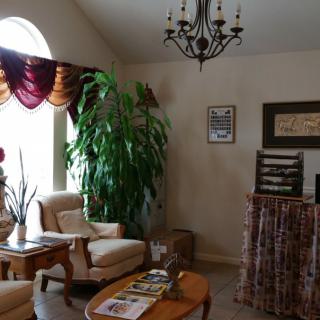 A cozy living room with armchairs, a chandelier, and a large indoor plant.
