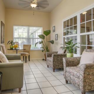 A cozy living room with comfortable seating and vibrant plants by the window.