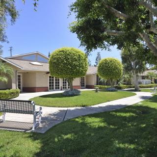 A sunny day in a well-maintained yard with trees, a bench, and a house in the background.