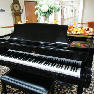 A black grand piano displayed indoors with decorative items in the background.