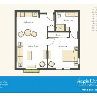 A floor plan of a one-bedroom apartment featuring a living room, kitchen, bathroom, and closet space.