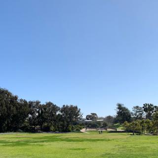 A serene park scene with lush green grass and a clear blue sky.