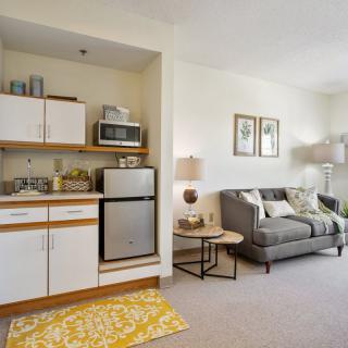 Cozy apartment living area with a kitchenette and comfortable sofa.