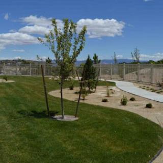 A serene outdoor landscape featuring lush green grass, trees, and a clear blue sky.