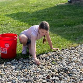 A child exploring and picking up stones in the garden.