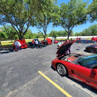 A vibrant gathering of car enthusiasts showcasing a lineup of red vehicles under the sunny sky.