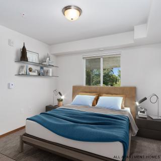 A modern, minimalist bedroom with a double bed and blue blanket, featuring nightstands and decorative shelves under soft indoor lighting.