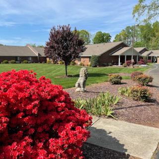 A serene residential garden featuring vibrant red flowers and well-kept landscaping.