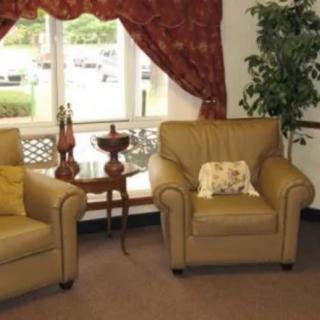 A cozy living room setup with armchairs, a side table, and indoor plants near a large window.