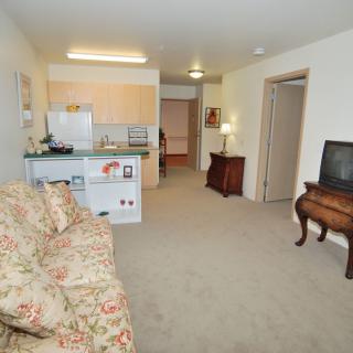 A cozy apartment with an open living space featuring a sofa, television, and a small kitchen area.