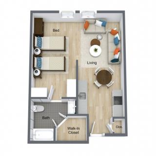 A floor plan layout showcasing a compact apartment with a bedroom, living area, bathroom, and walk-in closet.