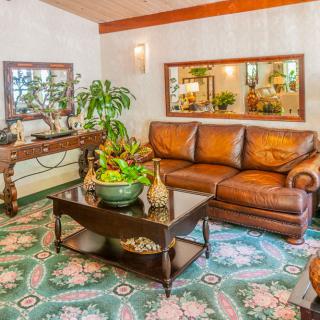 A cozy living room with a leather sofa, decorative coffee table, and vibrant plants.