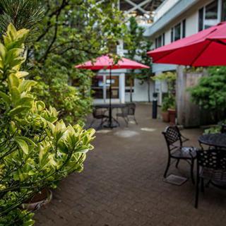 A cozy outdoor patio with lush greenery, red umbrellas, and seating arrangements.