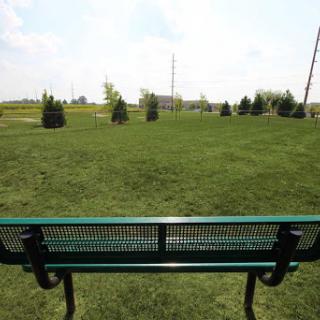 A park bench overlooking a grassy field, inviting moments of relaxation and reflection.