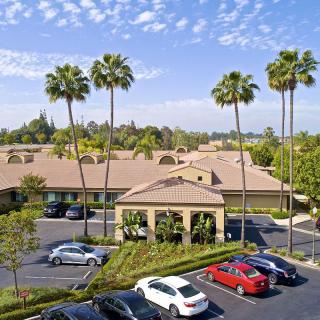A sunny view of an office building surrounded by palm trees, with several cars parked in the lot.