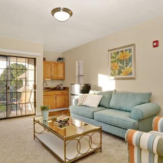 A cozy living room with a sofa and a coffee table, adjacent to a small kitchen area.