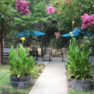 A serene garden pathway lined with lush plants and vibrant flowers, leading to an inviting seating area with blue umbrellas.