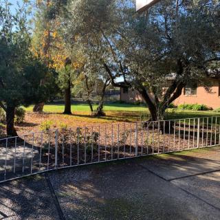 A peaceful garden with trees and a fence bordering a house in the sunlight.