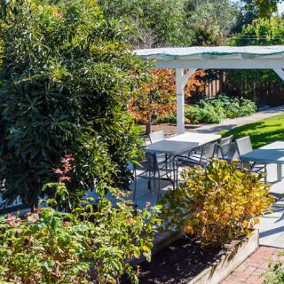 A sunny garden with a pergola and outdoor seating area surrounded by lush greenery.