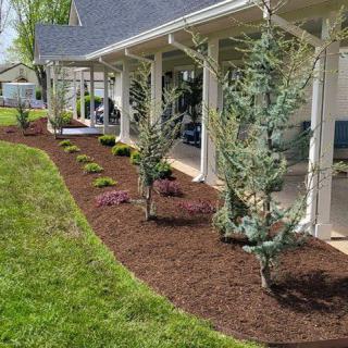 A landscaped garden with mulch, shrubs, and young trees along a covered walkway.