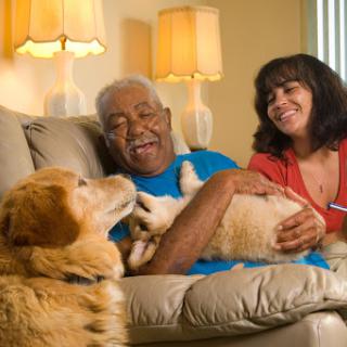 A joyful moment shared between an elderly man, a woman, and their beloved pets on a cozy couch.