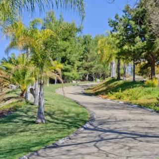 A winding pathway surrounded by lush palm trees and greenery under a clear blue sky.