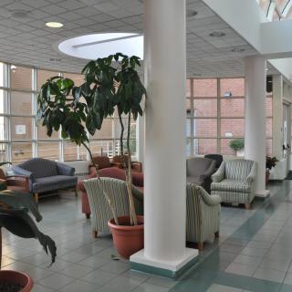 A bright and spacious lobby with comfortable seating and indoor plants.