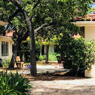 A tranquil courtyard with lush greenery and seating areas bathed in sunlight.