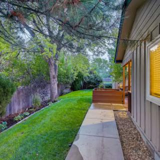 A serene backyard view featuring a well-maintained lawn, surrounded by lush trees and a concrete walkway.