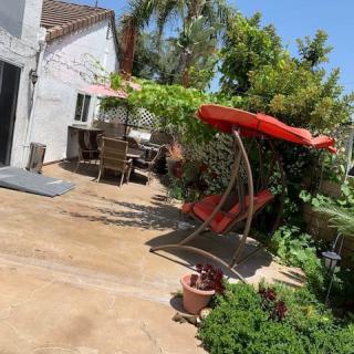 A sunny backyard patio with a red swing chair and surrounding greenery.
