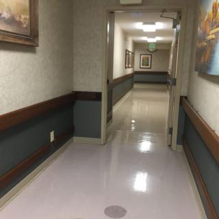 An empty hospital corridor with paintings on the walls.