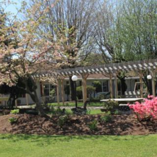 A tranquil garden scene with blooming flowers, a pergola, and lush greenery.