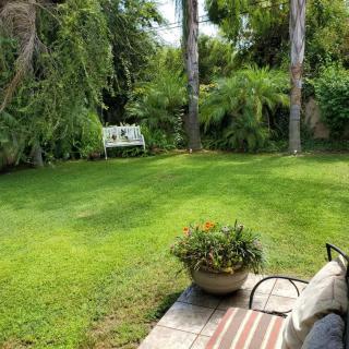A serene backyard garden with a lush lawn, trees, and a bench.