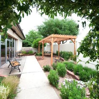 A peaceful garden with a wooden pergola, surrounded by lush greenery and a paved pathway.