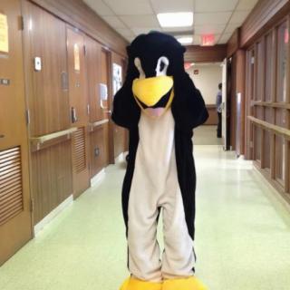 A person dressed in a penguin costume standing in a hallway.
