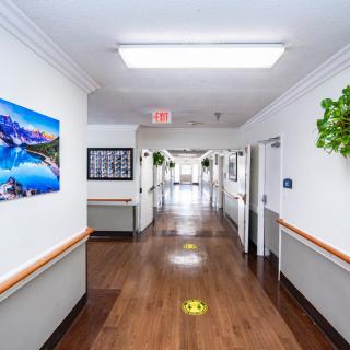 A clean and modern hospital corridor with artwork and plants along the walls.