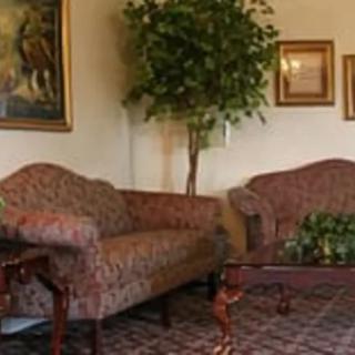 A cozy living room with a patterned sofa set, decorative paintings, and a large indoor plant.